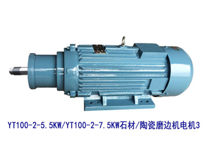 YT100-2-5.5KW/7.5KW YT100系列电机3